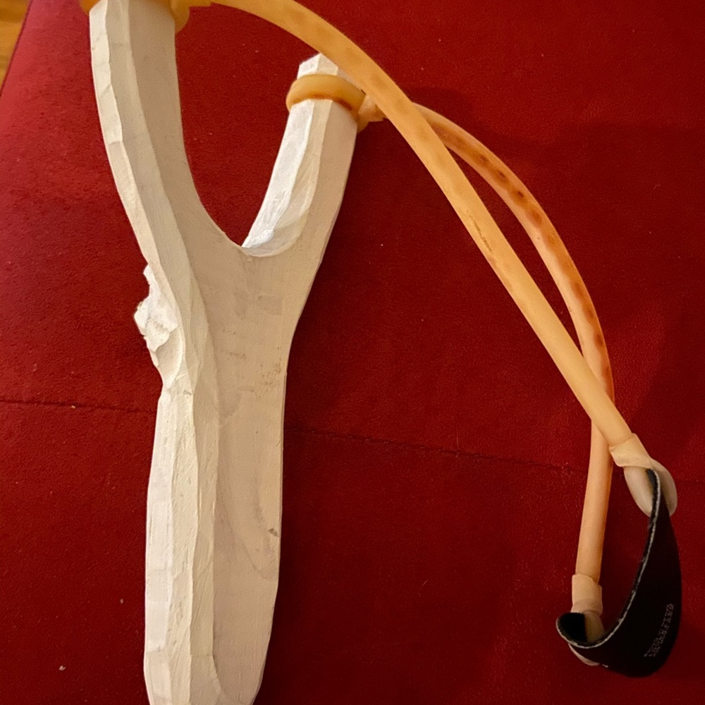 Slingshot - Picture 2 of 2